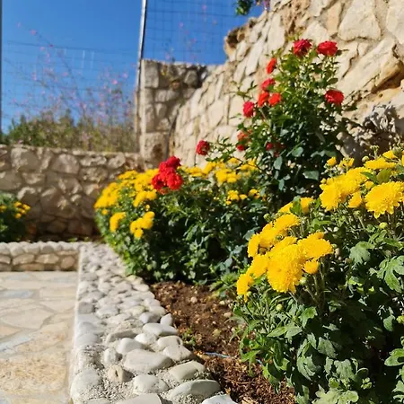 Redilka 4*