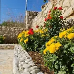 Redilka 4*